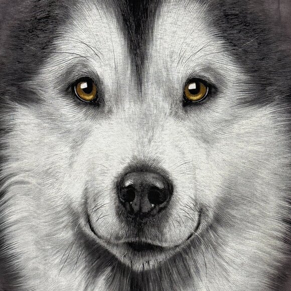 The Mountain Husky Dog Large Graphic Tie Dye Tshirt Vincent Hie 2013 Size Medium - Picture 3 of 7